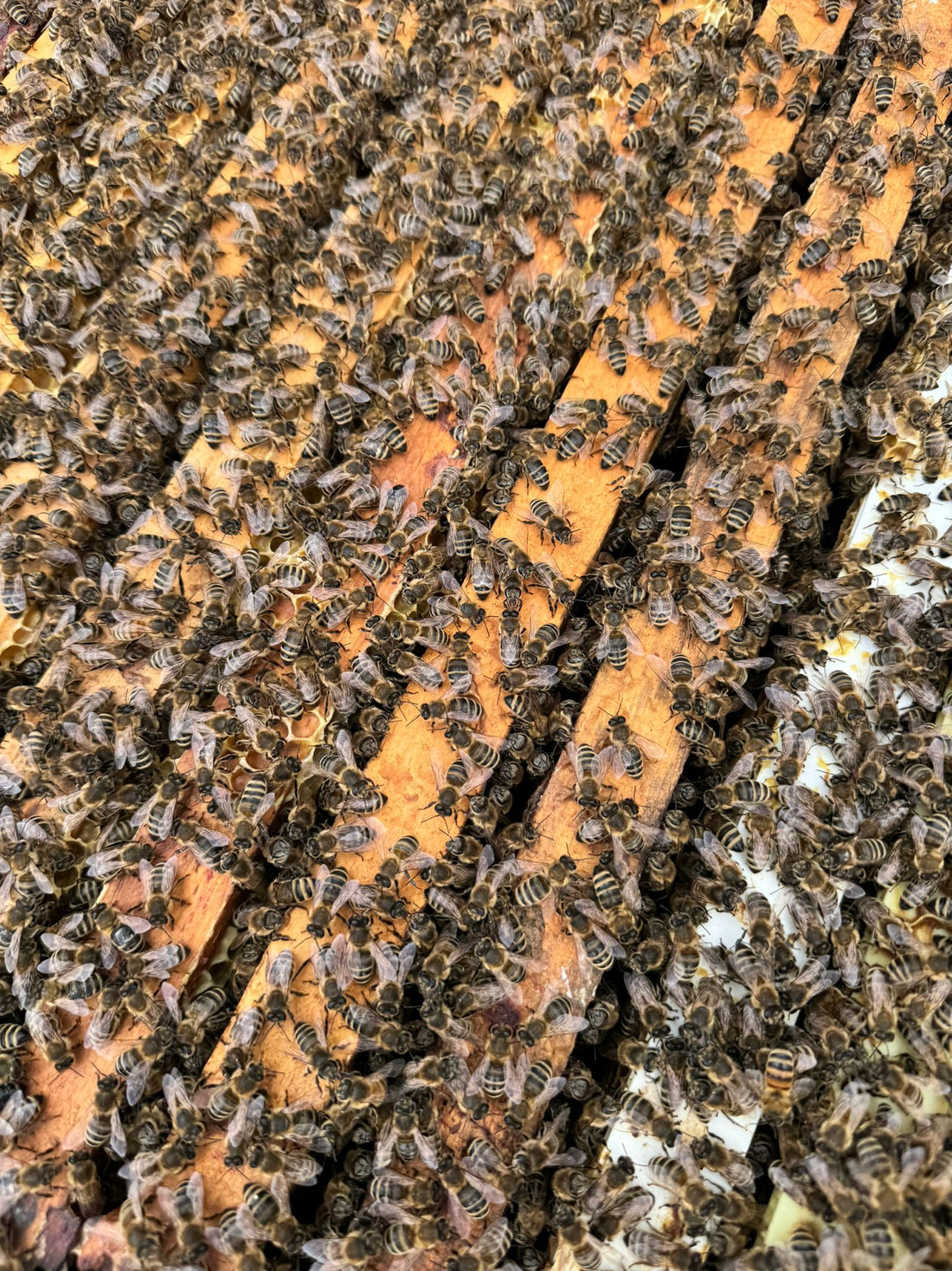 5 years of applied research explained in minutes