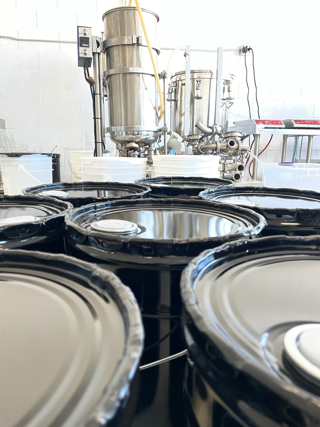 One Year Later: How Cubee Helped Beekeepers Boost Hive Survival